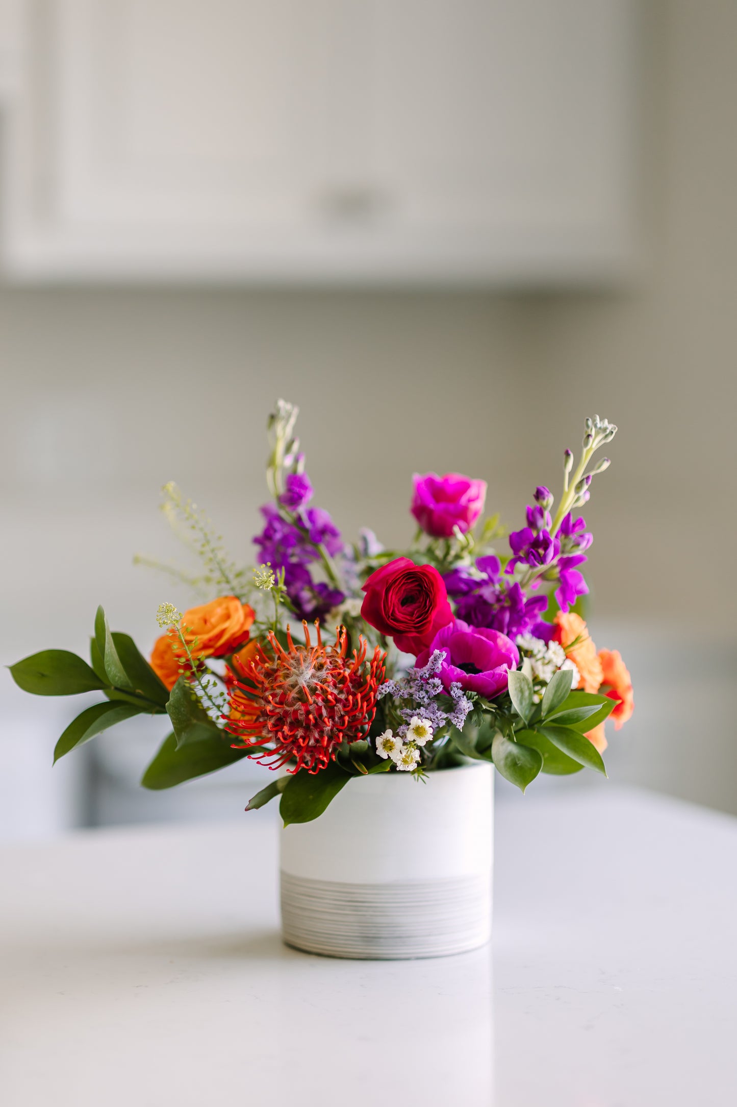 6 Month Subscription