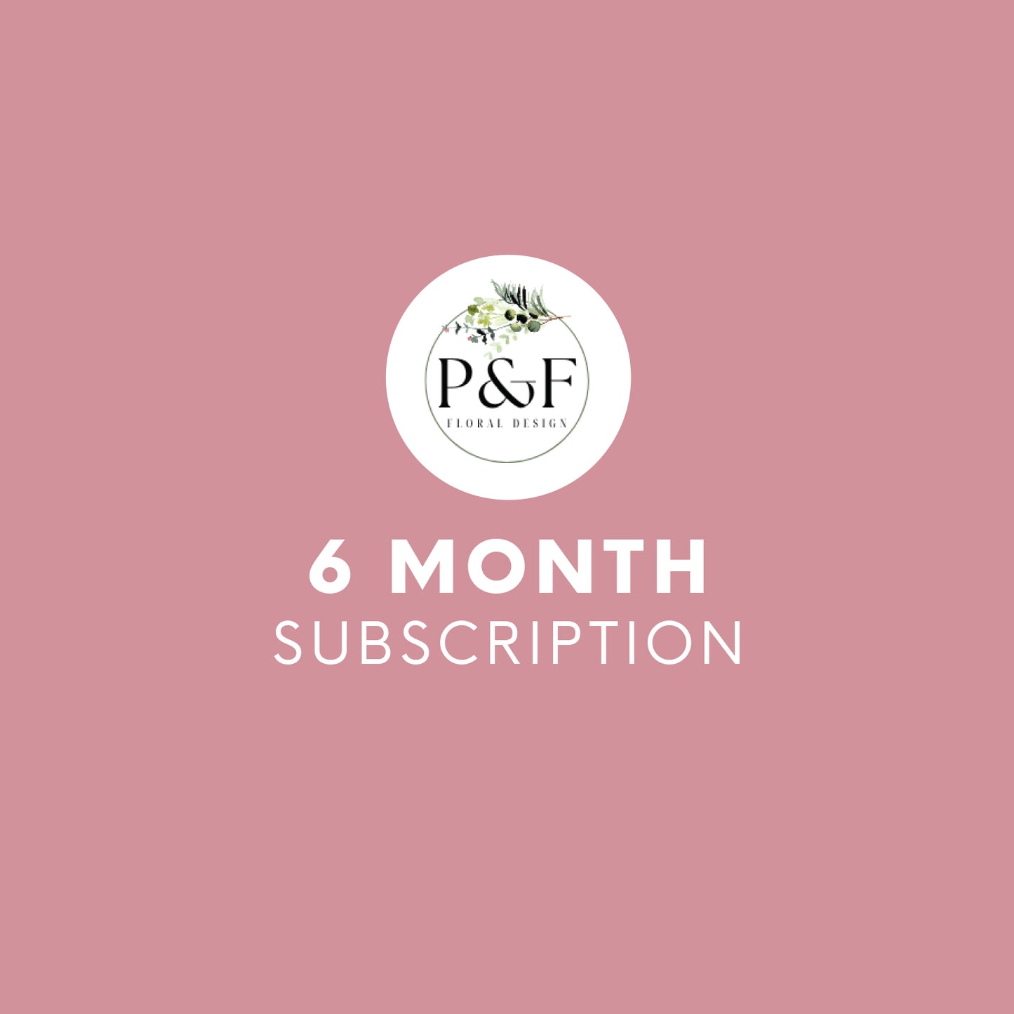 6 Month Subscription