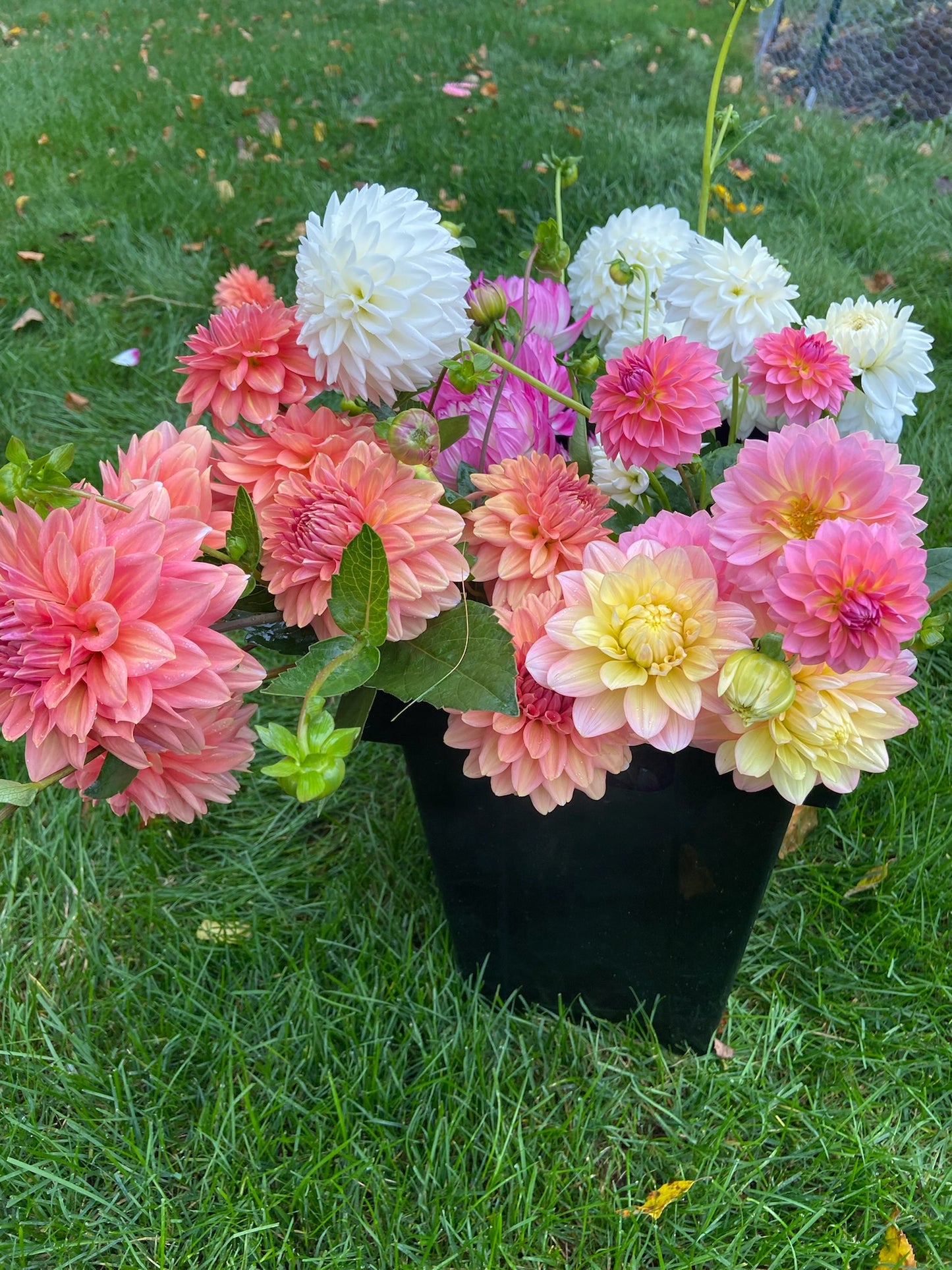 Summer Floral CSA