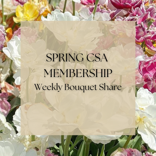 8-week Spring Floral CSA