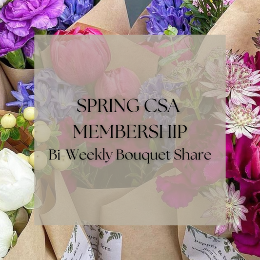 4-week biweekly Spring Floral CSA