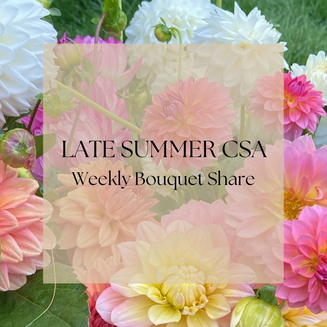 6-week Summer Floral CSA